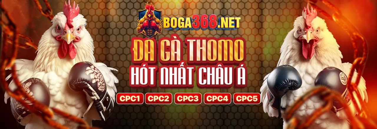 Đá gà trực tuyến Halo88 Link Mới 2026