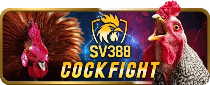 Blackjack Gay Cấn tại Halo88